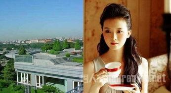 王志才照片,定格岁月的永恒魅力